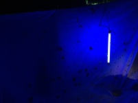 The blacklight had some interesting insects appear but nothing out of the ordinary.